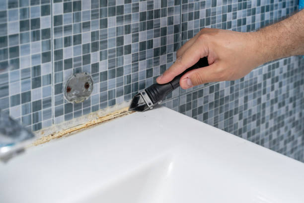 Best Mold Removal Company Near Me  in Suitland, MD