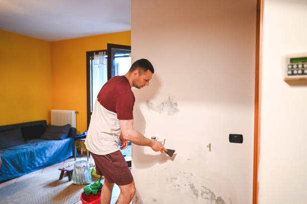 Best Mold Removal Near Me  in Suitland, MD